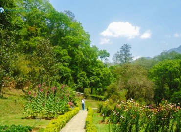category photo