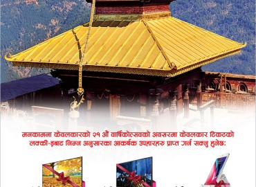 category photo