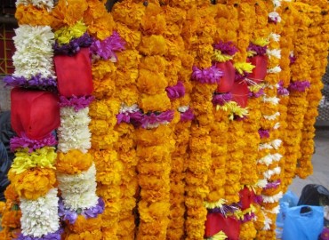 category photo