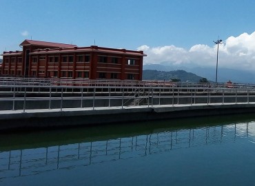 category photo