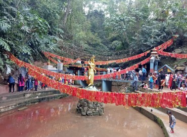 category photo