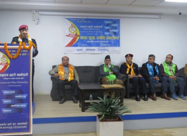 category photo