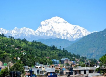 category photo