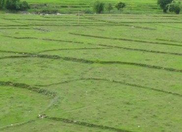 category photo