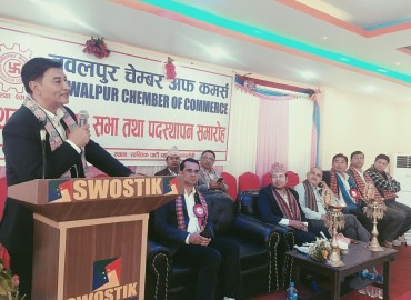 category photo