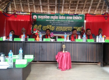 category photo