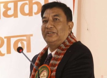 category photo