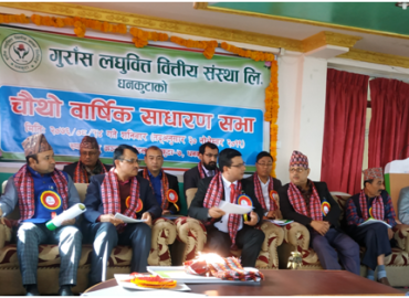 category photo