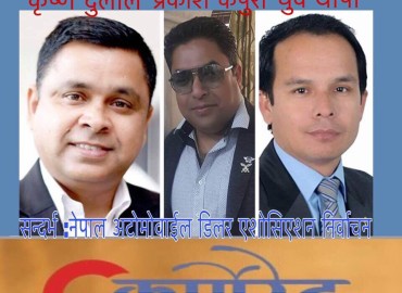 category photo