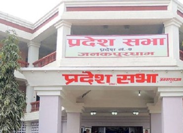 category photo