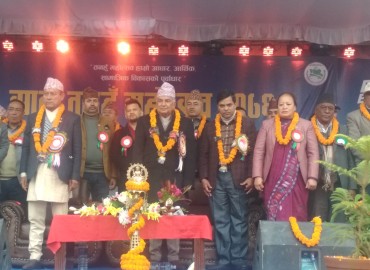 category photo
