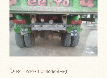 category photo