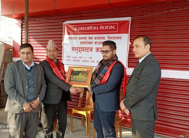category photo