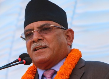 category photo