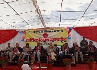 category photo