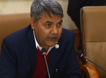 category photo