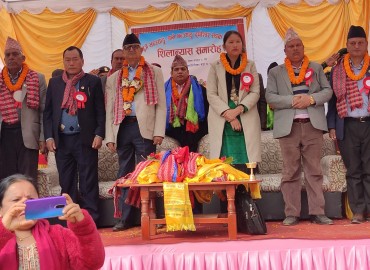 category photo