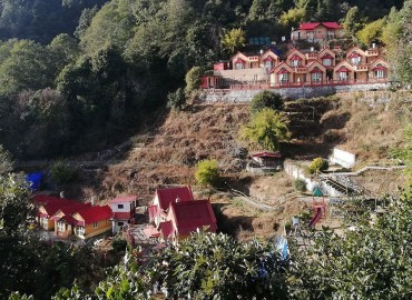 category photo