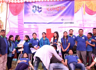 category photo
