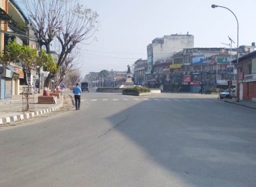 category photo