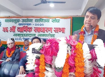 category photo