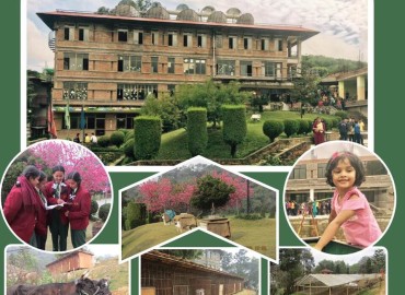 category photo