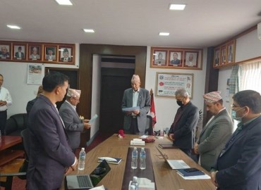 category photo