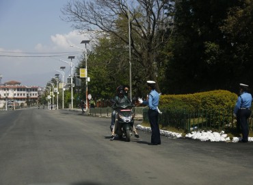 category photo