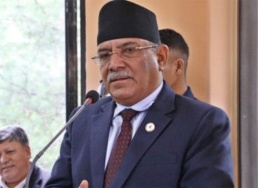 category photo