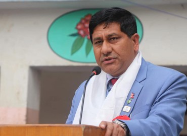 category photo