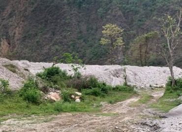 category photo