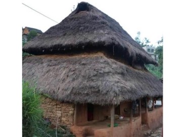 category photo