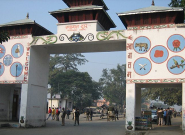 category photo