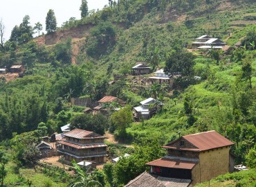 category photo