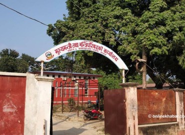 category photo