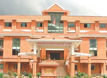 category photo