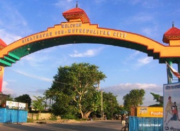 category photo