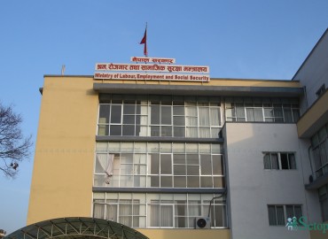 category photo