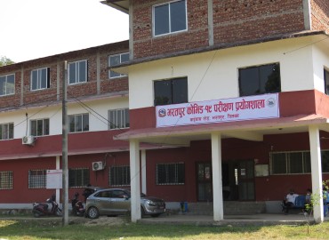 category photo