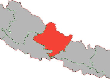 category photo