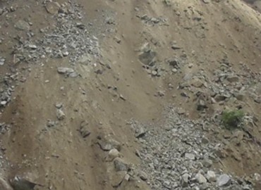 category photo
