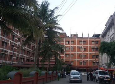 category photo