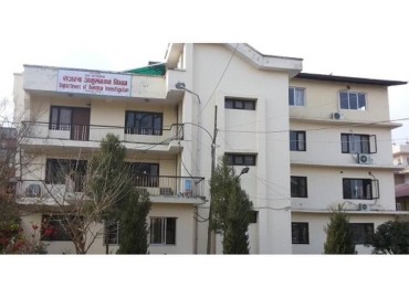 category photo