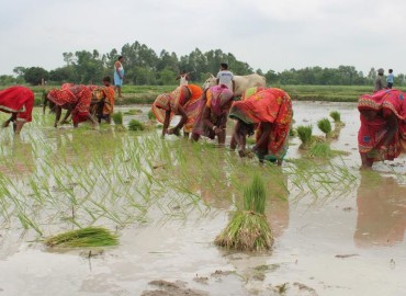 category photo