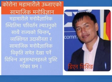 category photo