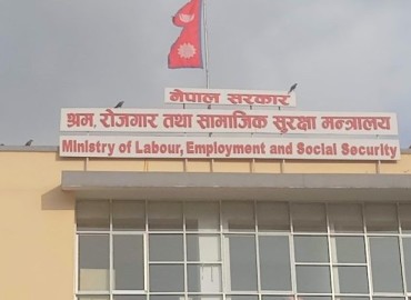 category photo