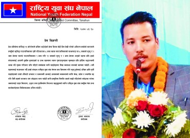 category photo