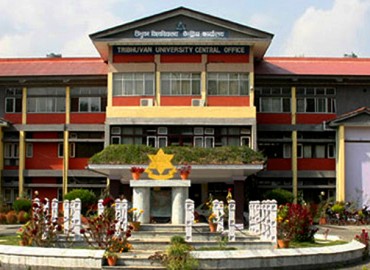 category photo
