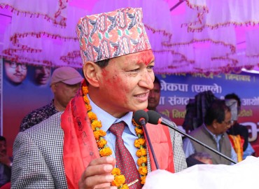 category photo