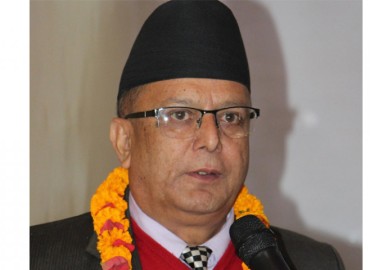 category photo